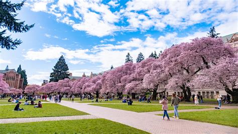 Branches and Campuses .